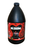 Holland Secret - Bloom