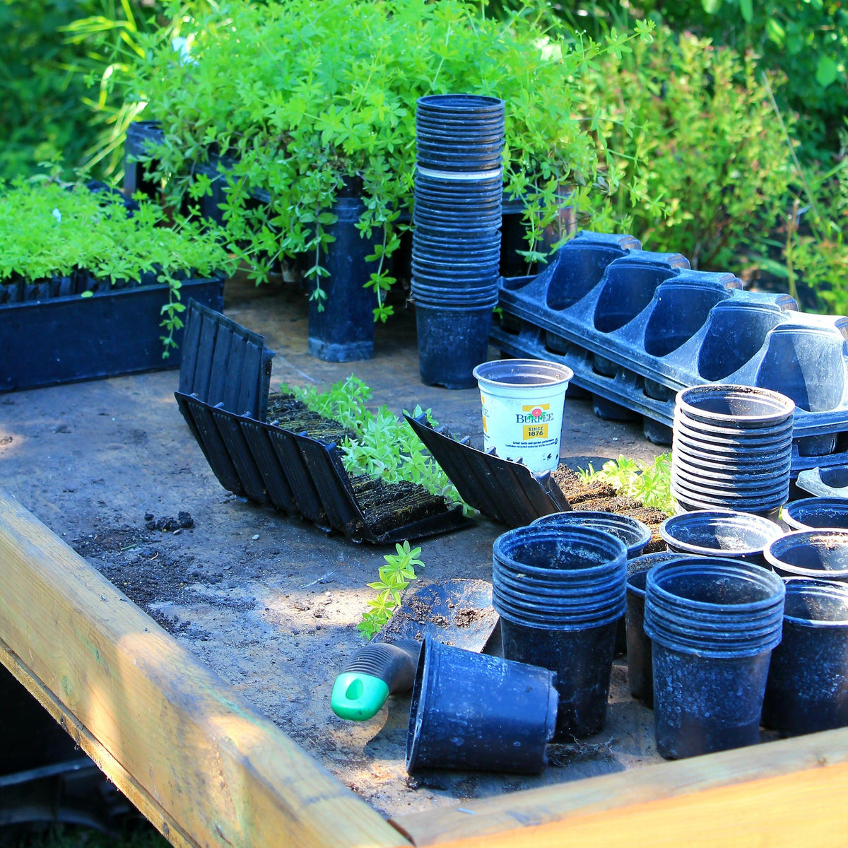 Grow Products – Meadows Way Garden Center