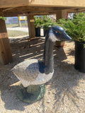 Goose