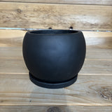 Aster Planter - 6.75”