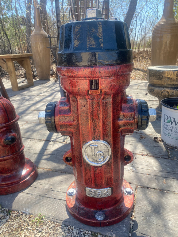 Big Fire Hydrant