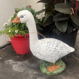 Goose