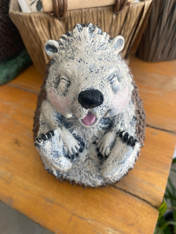 Baby Hedgehog