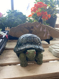 Tortise