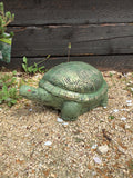 Tortise