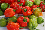 Peppers - Hot
