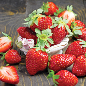 Strawberry - Fort Laramie